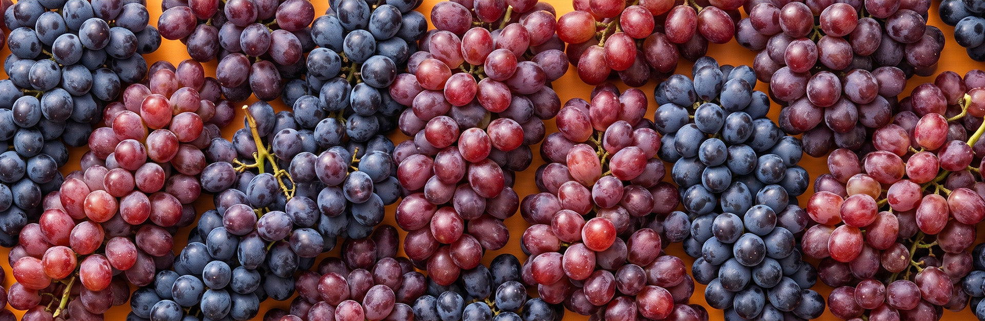 Grapes
