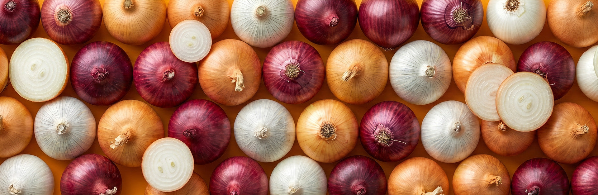 Onion