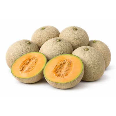 HONEYDEW MELON
