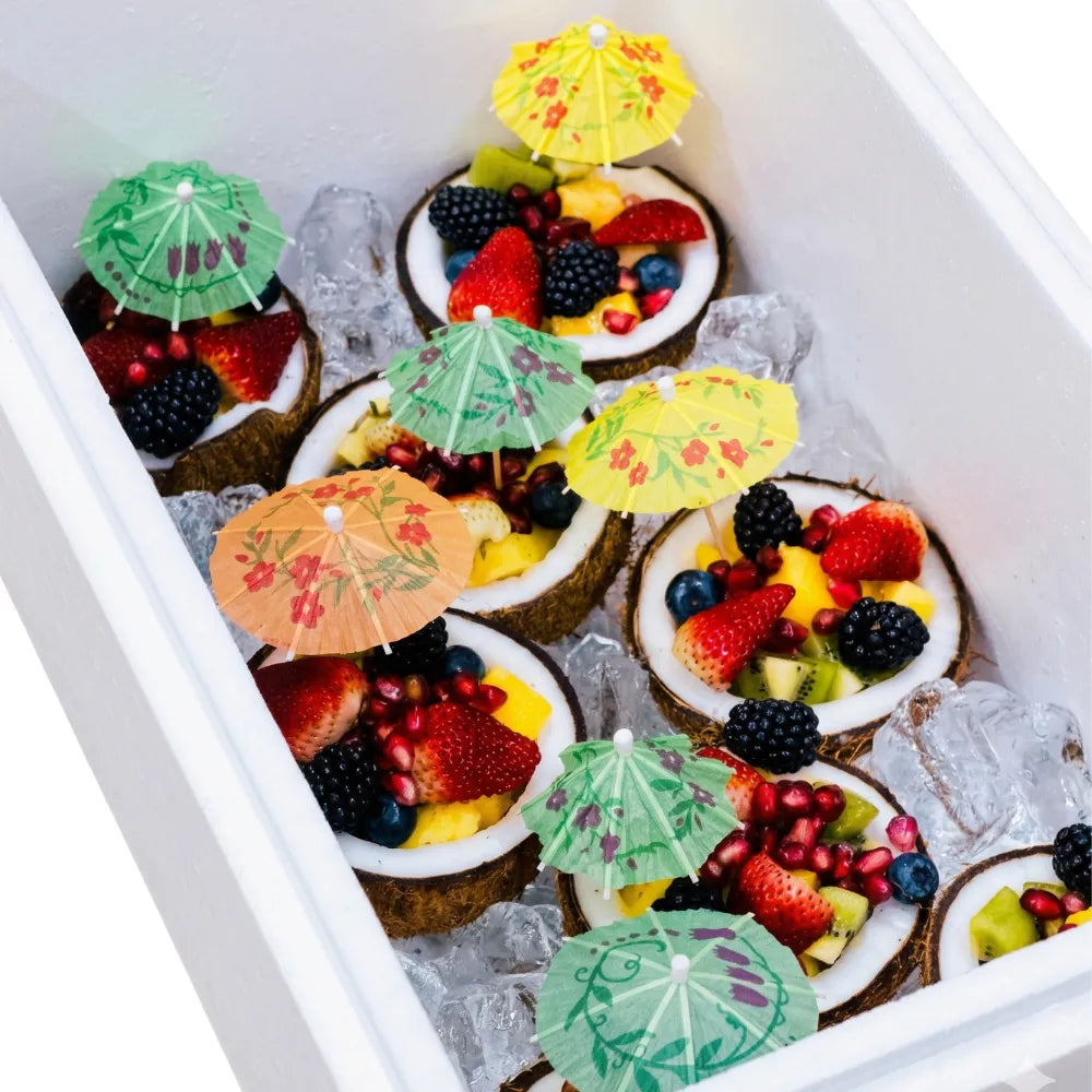 Island Breeze Coconut Fruit Bowls