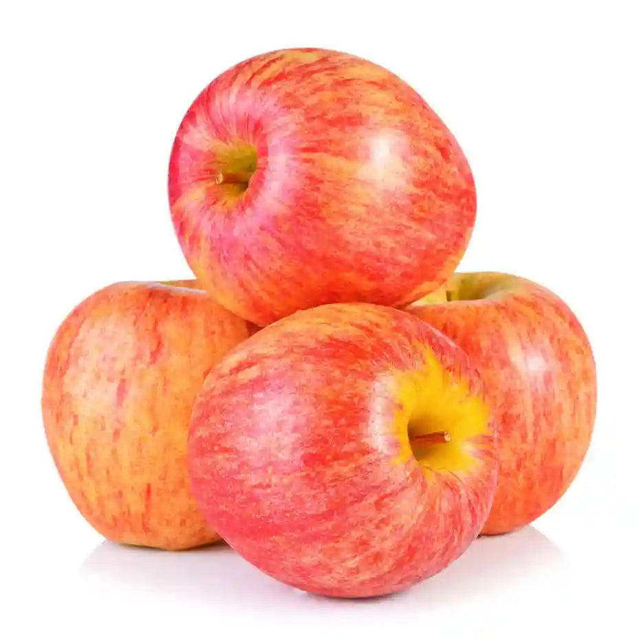 APPLE GALA