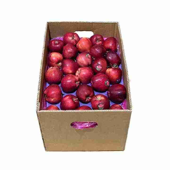 APPLE  CARTON