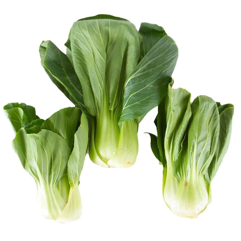 BABY PAKCHOI
