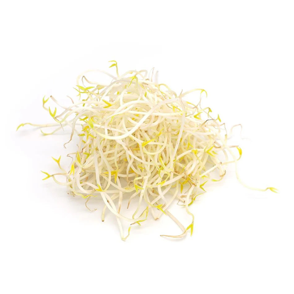 BEANS SPROUT