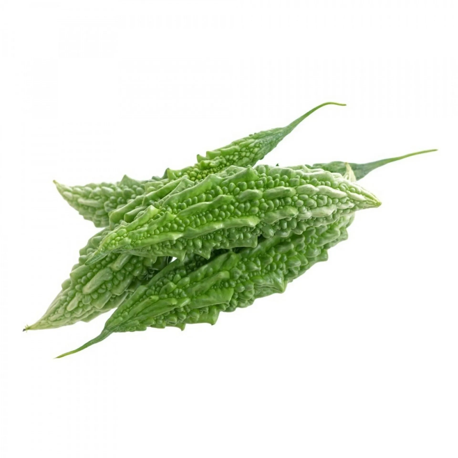 BITTER GOURD