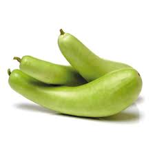 BOTTLE GOURD (KADHU)