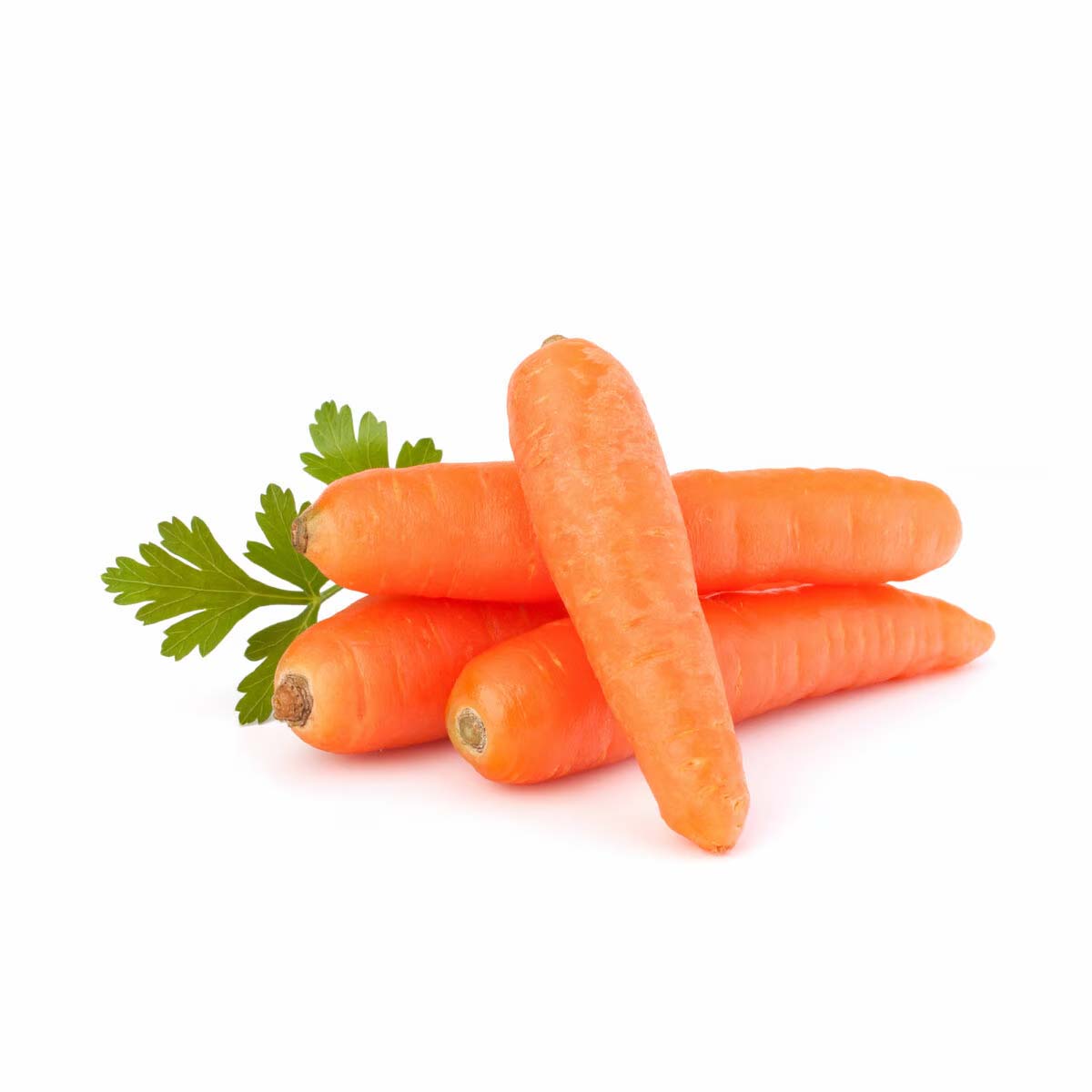 CARROT AUSTRALIA