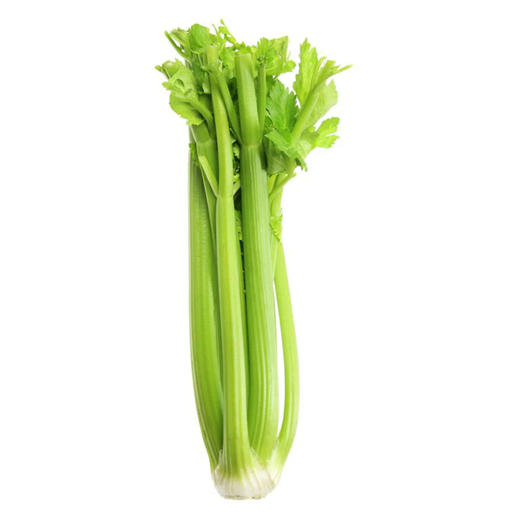 CELERY