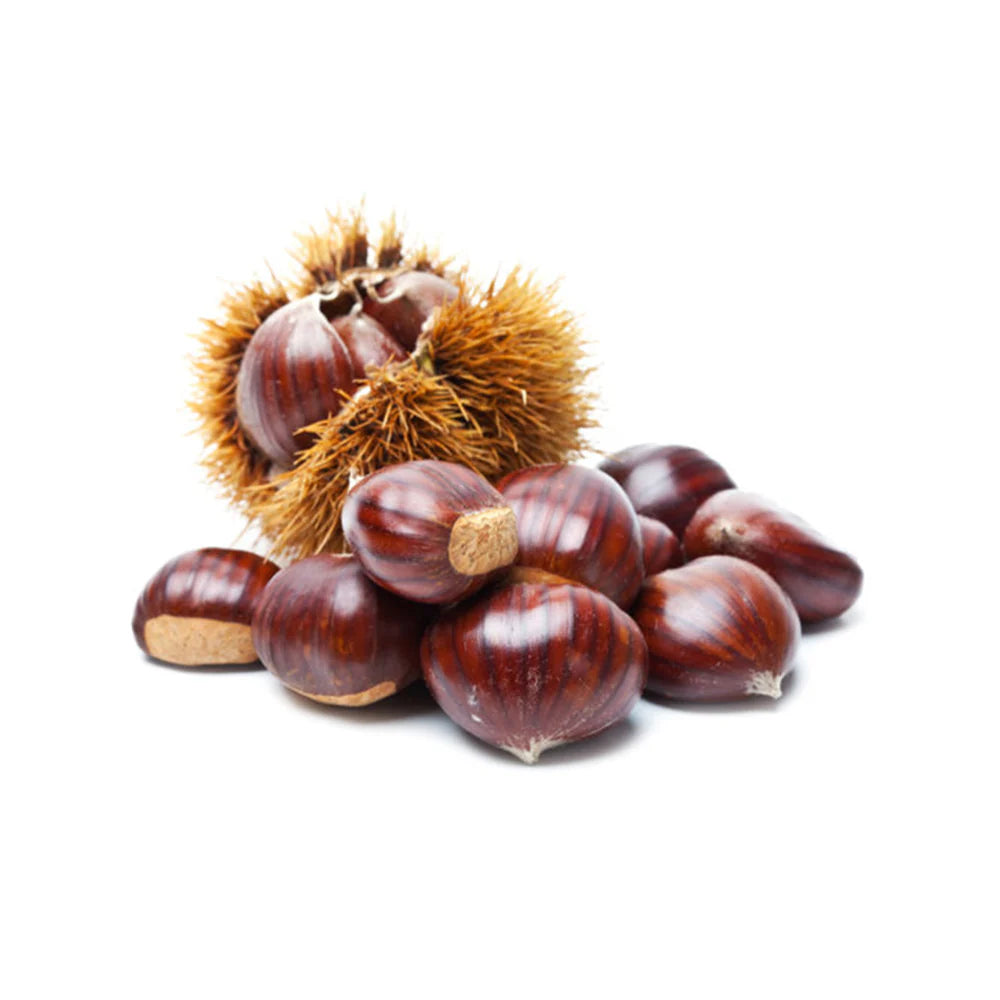 CHESTNUT CHINA