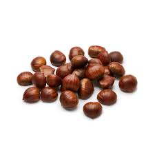 CHESTNUT TURKEY