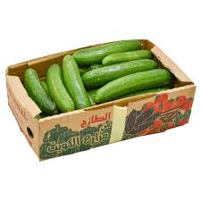 CUCUMBER APPROX 5KG CARTOON BOX
