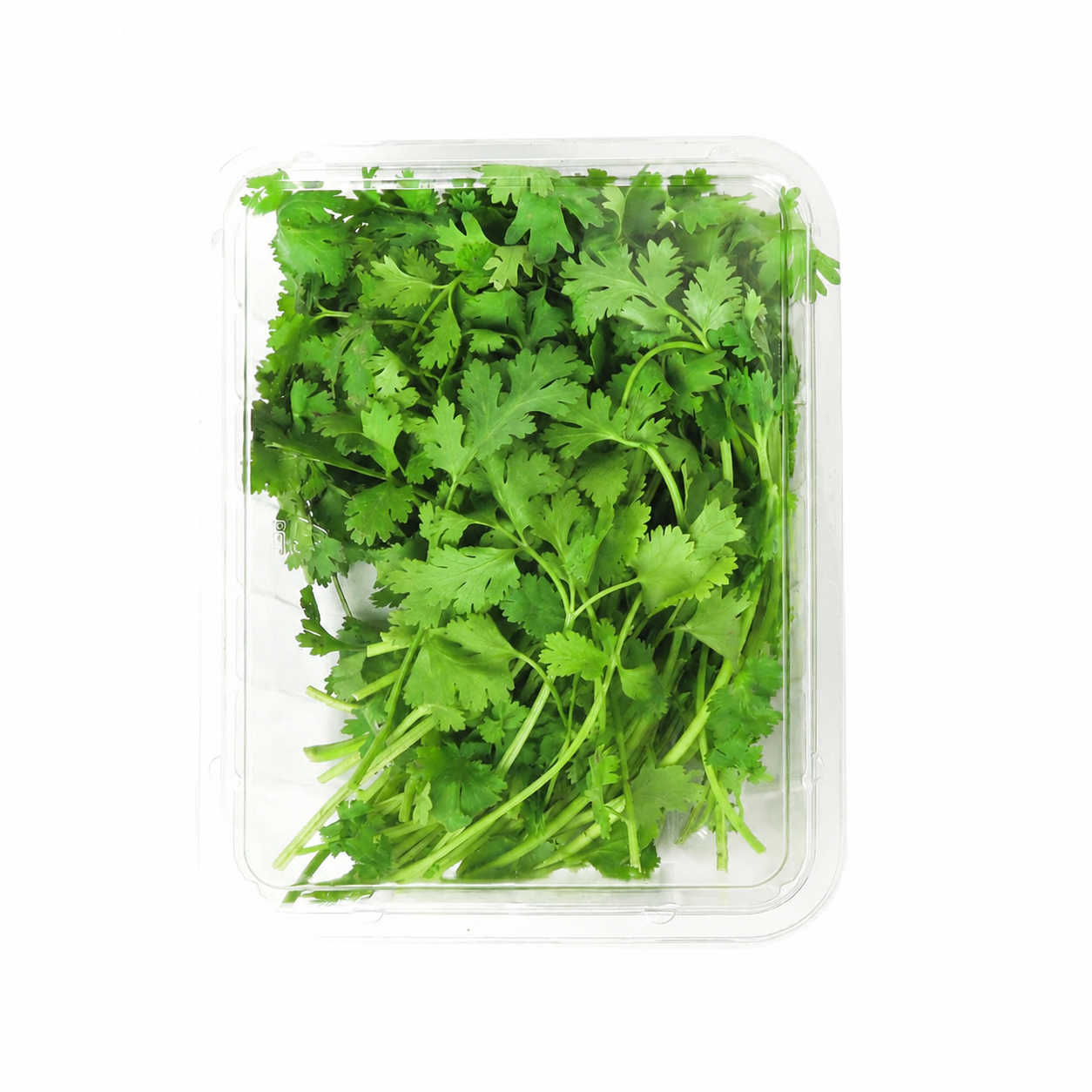 Coriander leaves PACK
