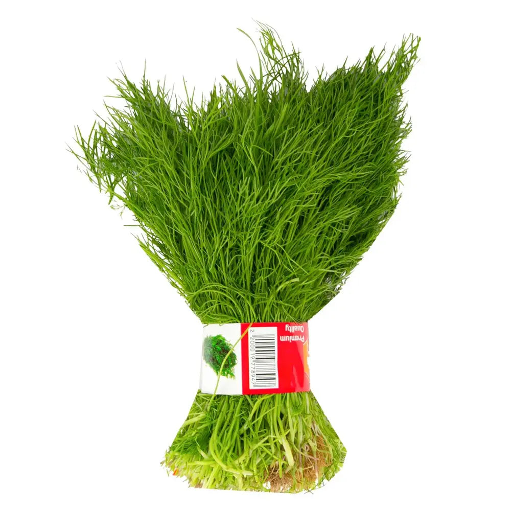 DILL FRESH