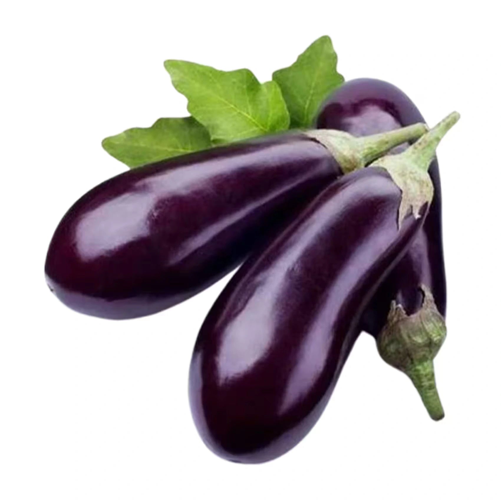 EGGPLANT