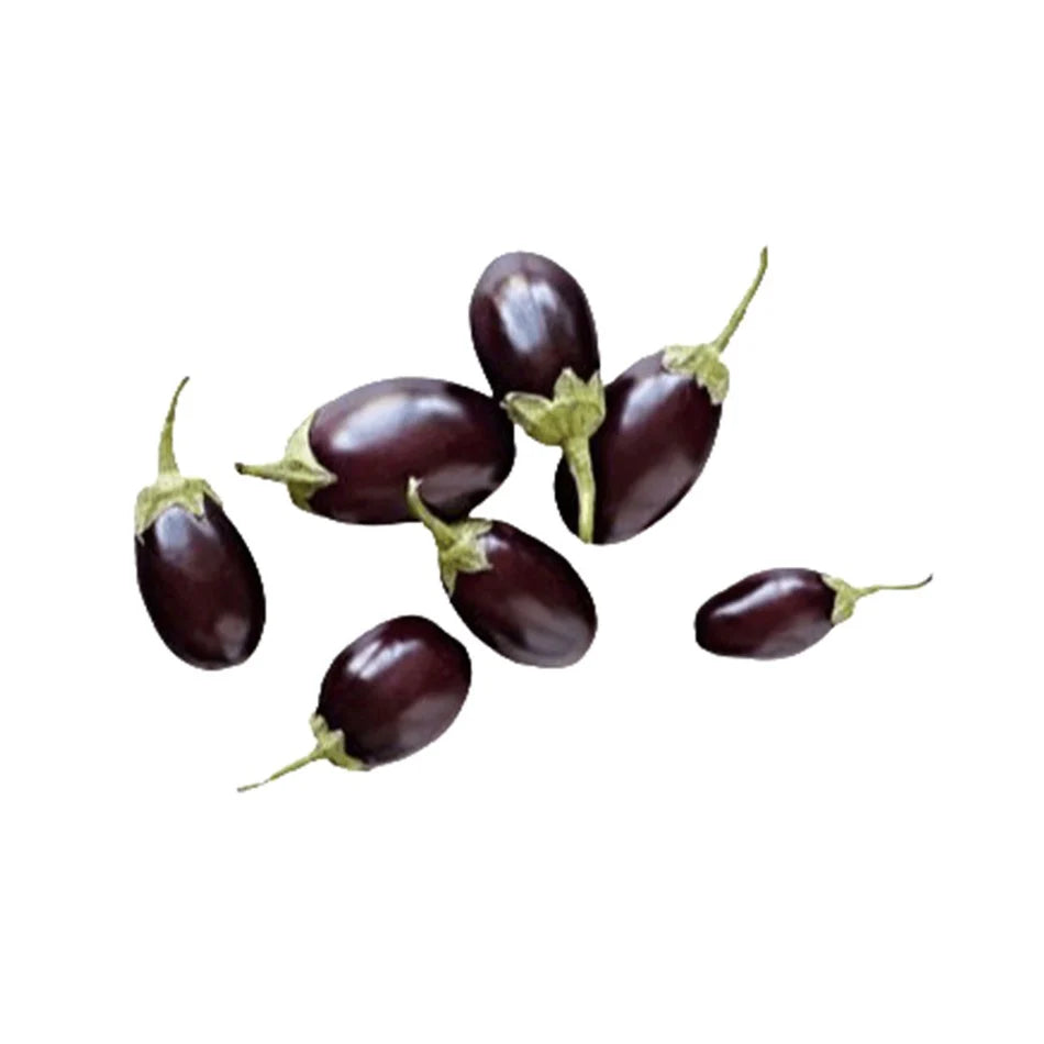 EGGPLANT BABY SMALL