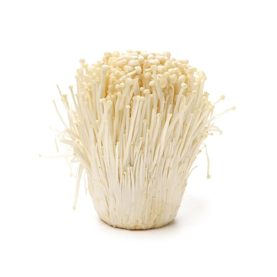 ENOKI MUSHROOM
