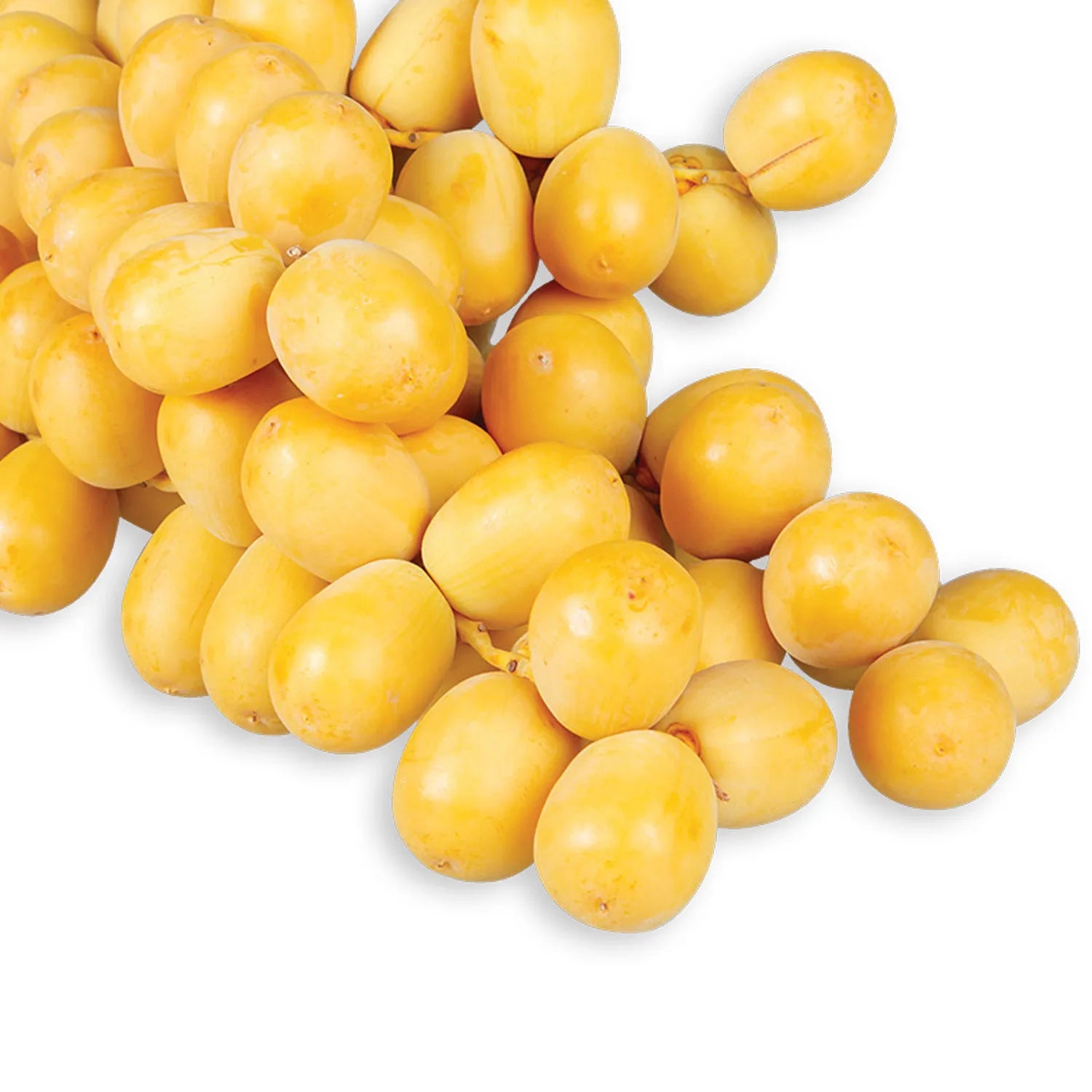 FRESH LULU DATES