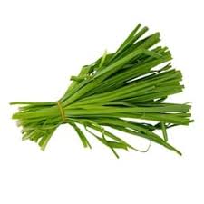 FRESH GARLIC LEAVES