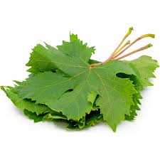 FRESH GRAPES LEAVES