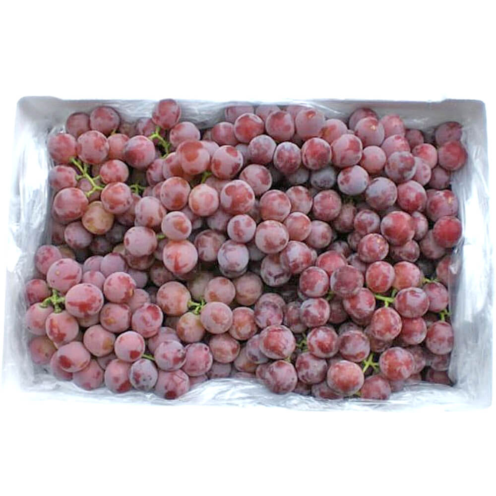 GRAPES RED PERU APPROX 1KG