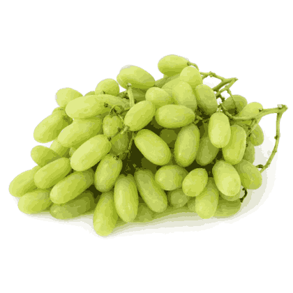 GRAPES WHITE INDIA
