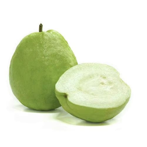 GUAVA EGYPT