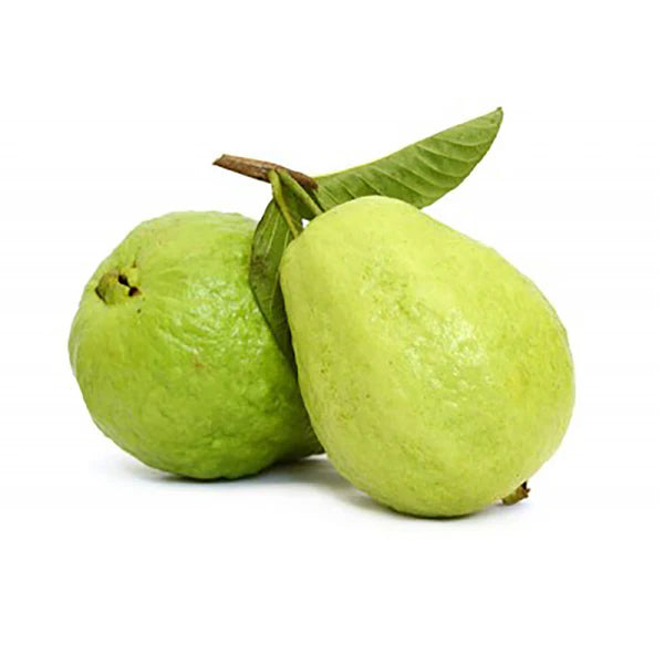 GUAVA EGYPT BOX