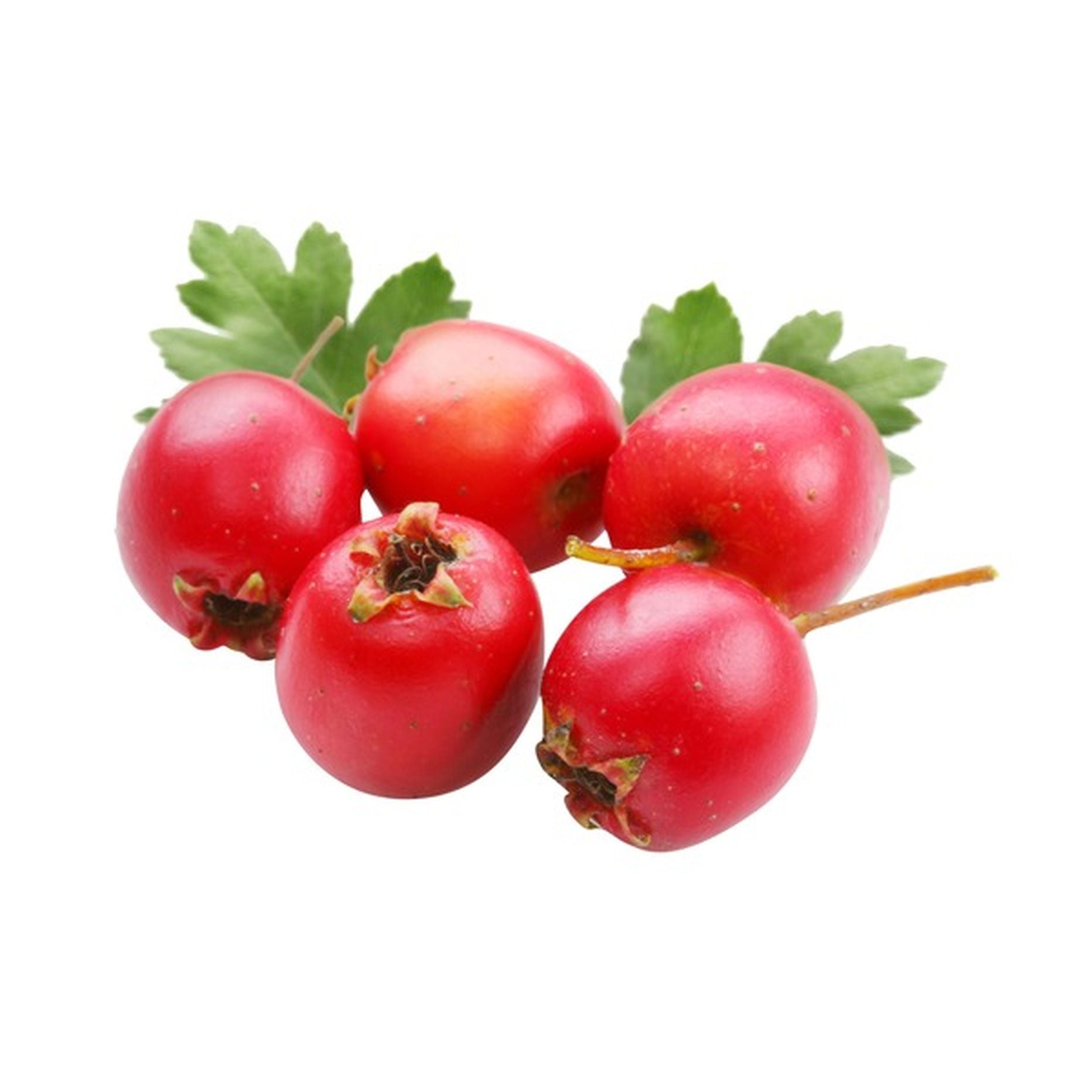 HAWTHRON BERRY