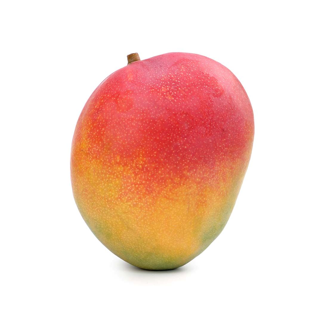 MANGO KENT