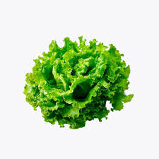 LETTUCE PIECES