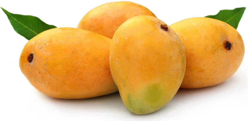 MANGO ALPHONSO