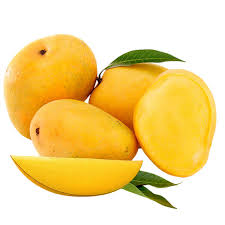 MANGO ALPHONSO INDIA