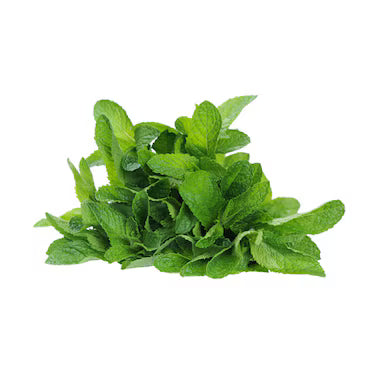 FRESH MINT LEAVES