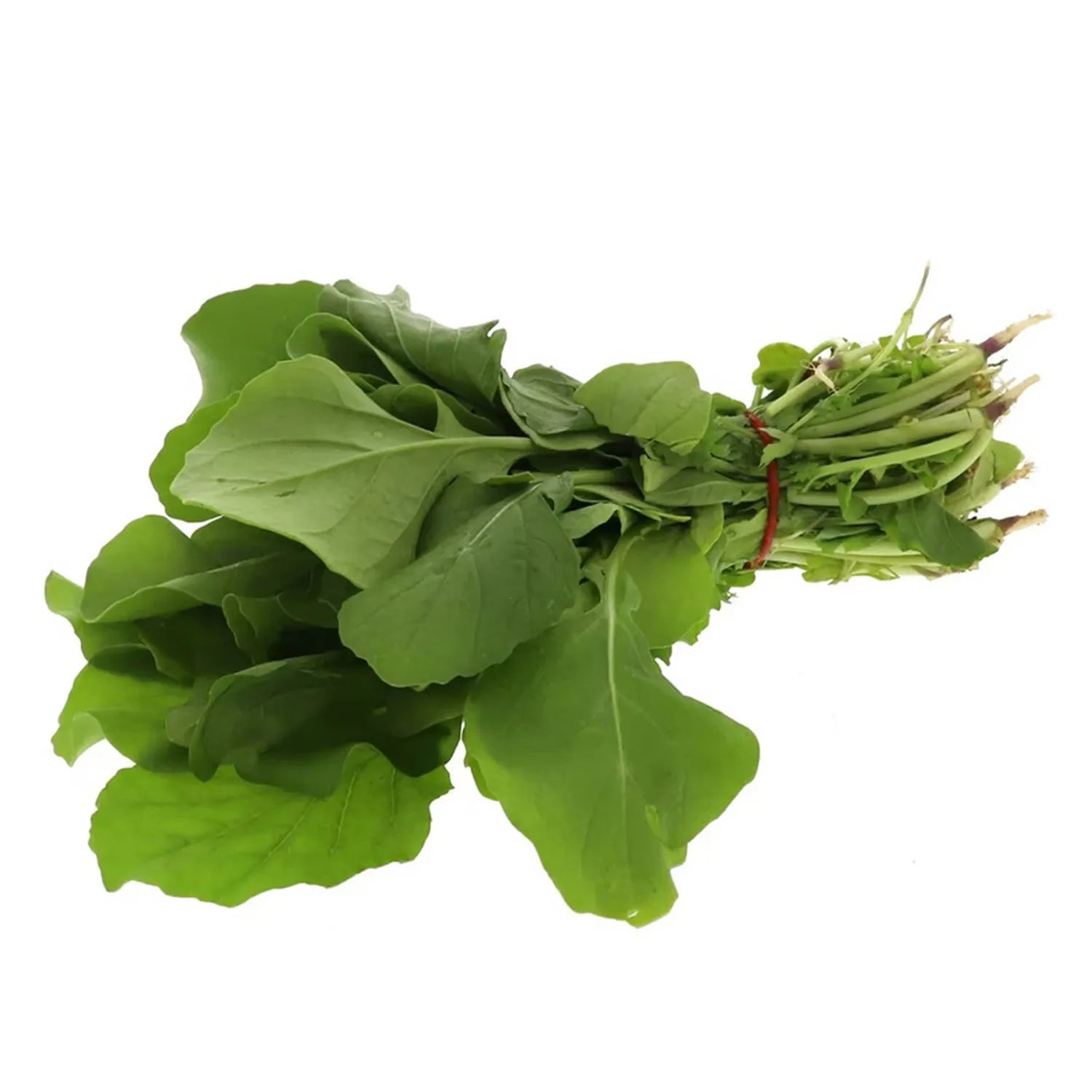 MULUKHIYAH FRESH