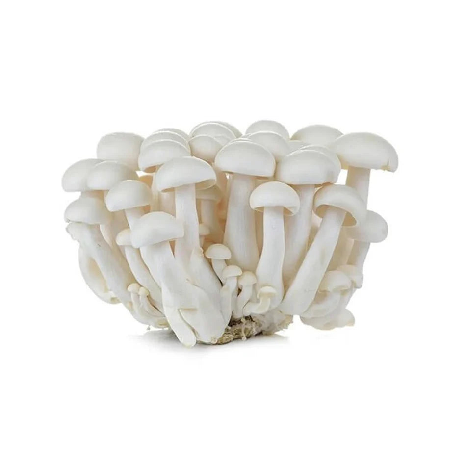 Mushroom Shimeji