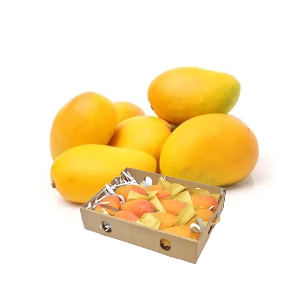 MANGO YEMEN CARTON