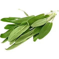 FRESH SAGE LEAVES