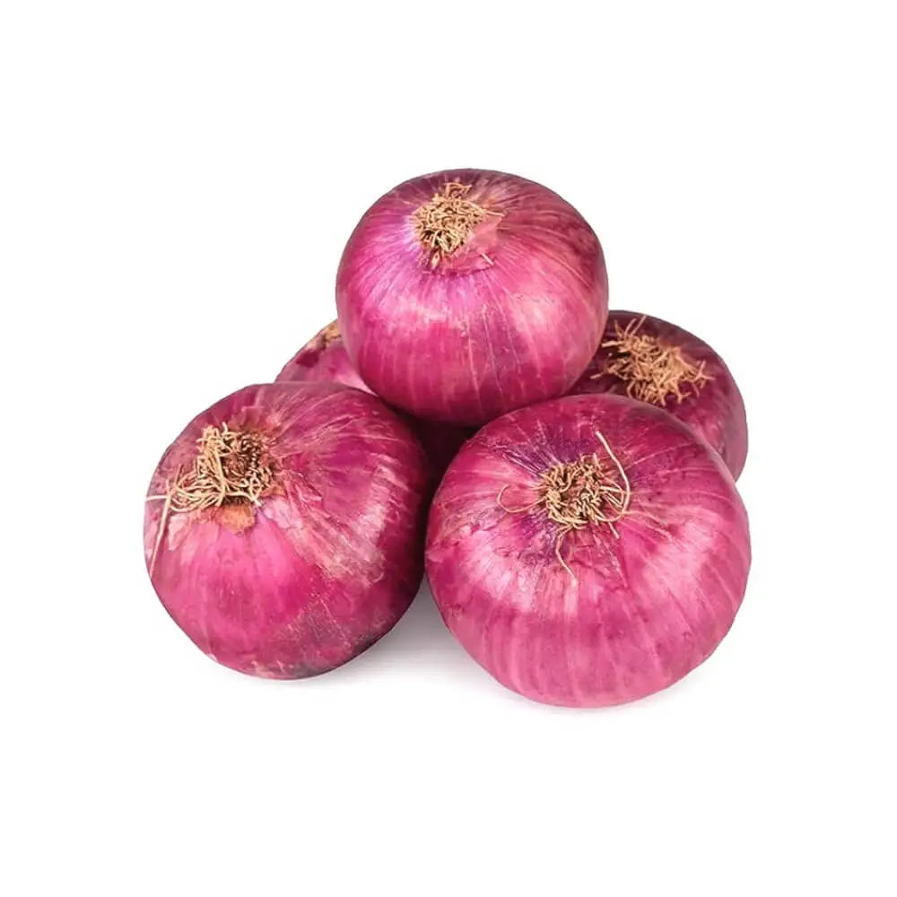ONION KG