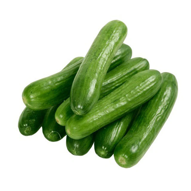 ORGANIC CUCUMBER