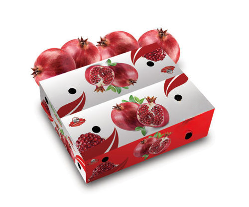 POMEGRANATE BOX