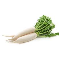 RADDISH WHITE 7kg