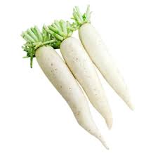 RADISH WHITE