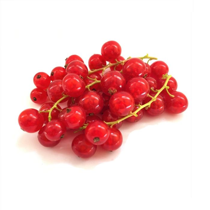 RED CURRENT