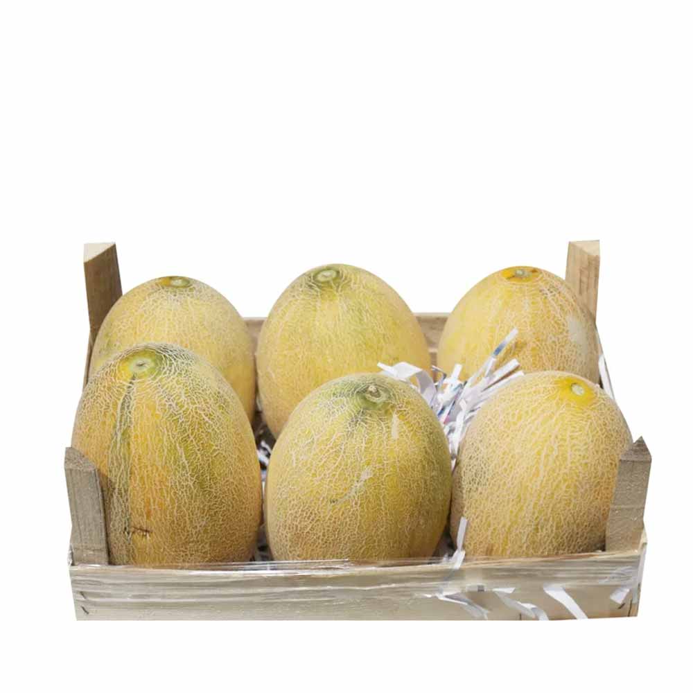 ROCKMELON IRAN BOX