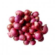 SHALLOTS INDIA – Rayhan fruits