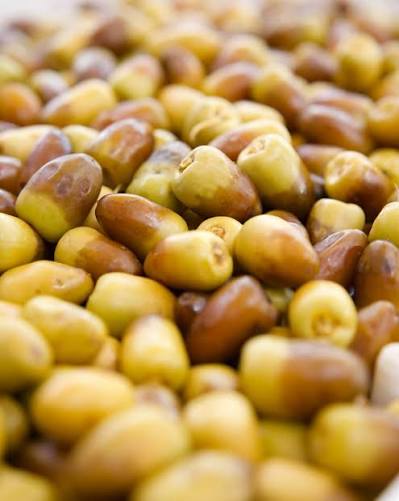 FRESH SHESHI DATES