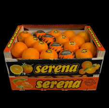 ORANGE NAVEL CARTON