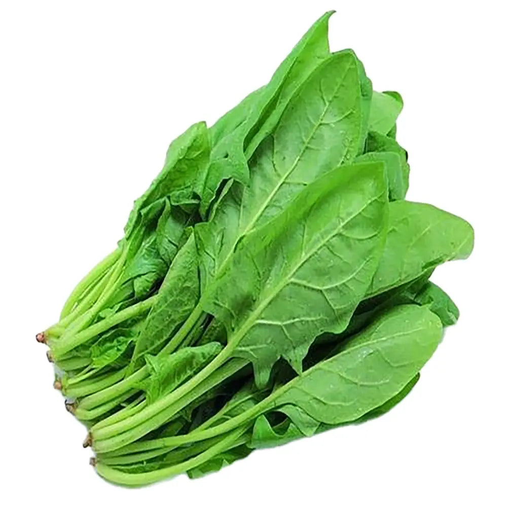 FRESH SPINACH