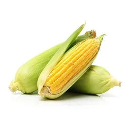 SWEET CORN