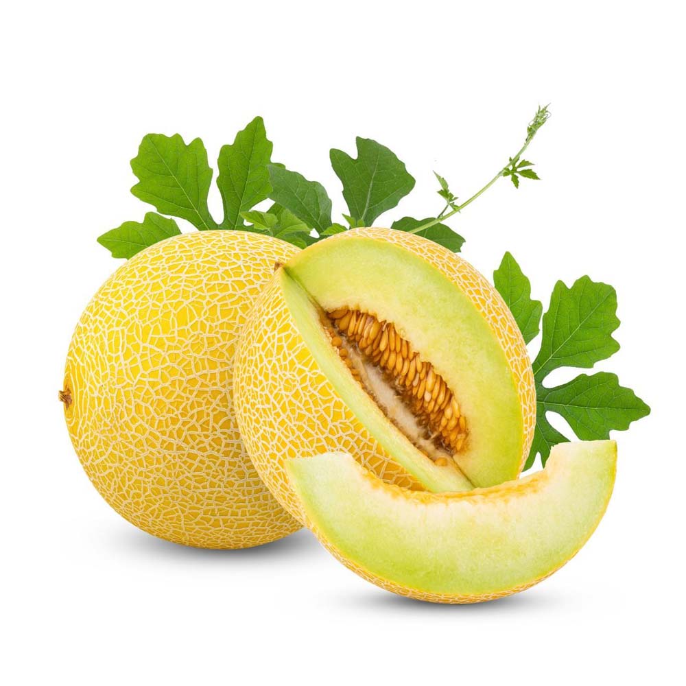 8.45SWEETMELON